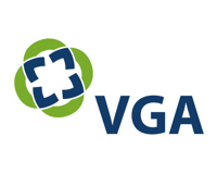 VGA